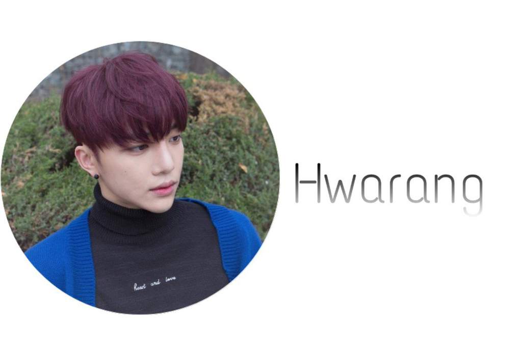 stan spectrum stan talent wiki k pop fran ais amino stan spectrum stan talent wiki k pop fran ais amino