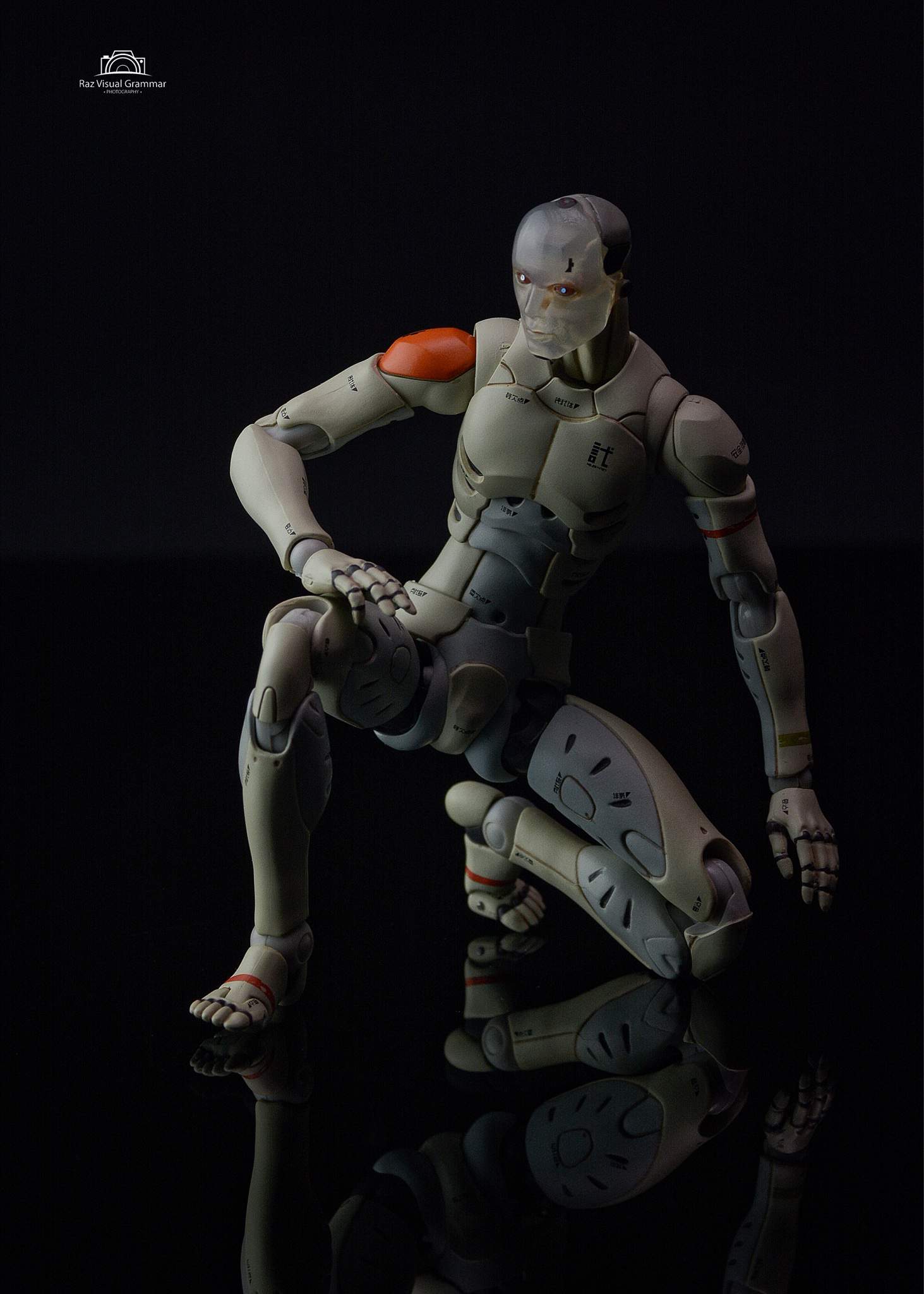 Synthetic Human | Toys Amino