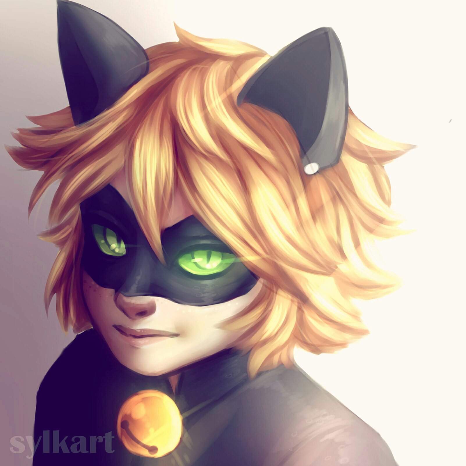 Chat Noir | Miraculous Amino