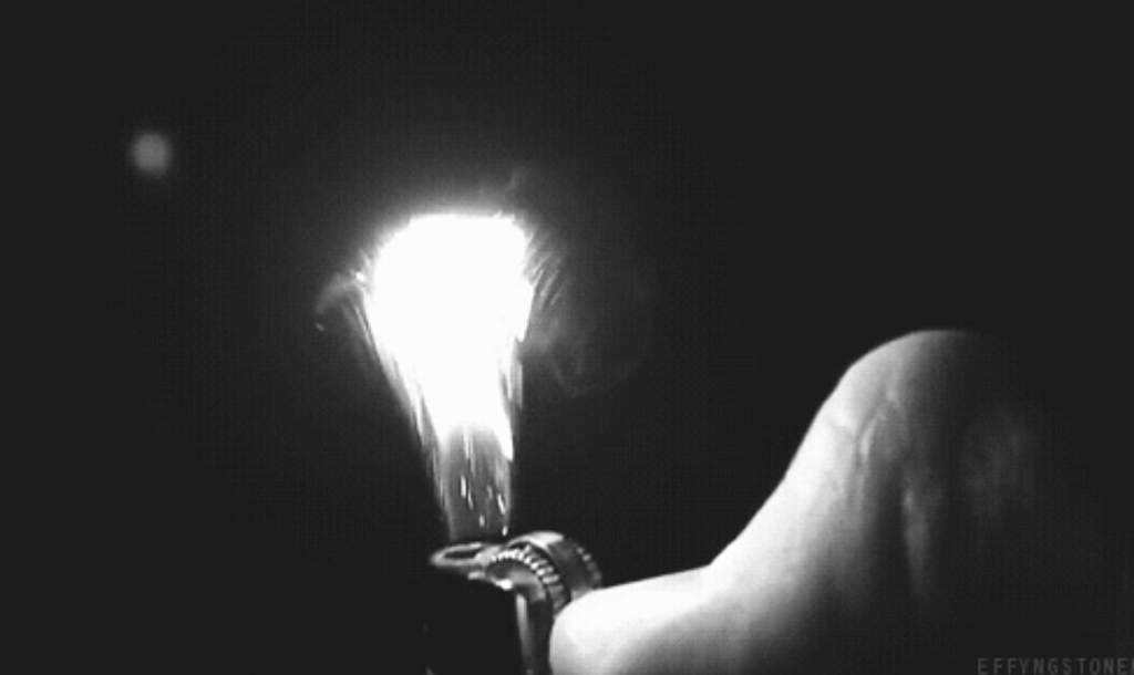 Leo dragon Wiki The Zodiac Kingdoms Amino