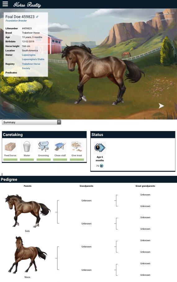 ride equestrian simulation free equestrian games online