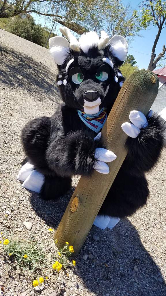 Fursuiting and Camping at Elephant Butte | Fursuit Maker Amino Amino