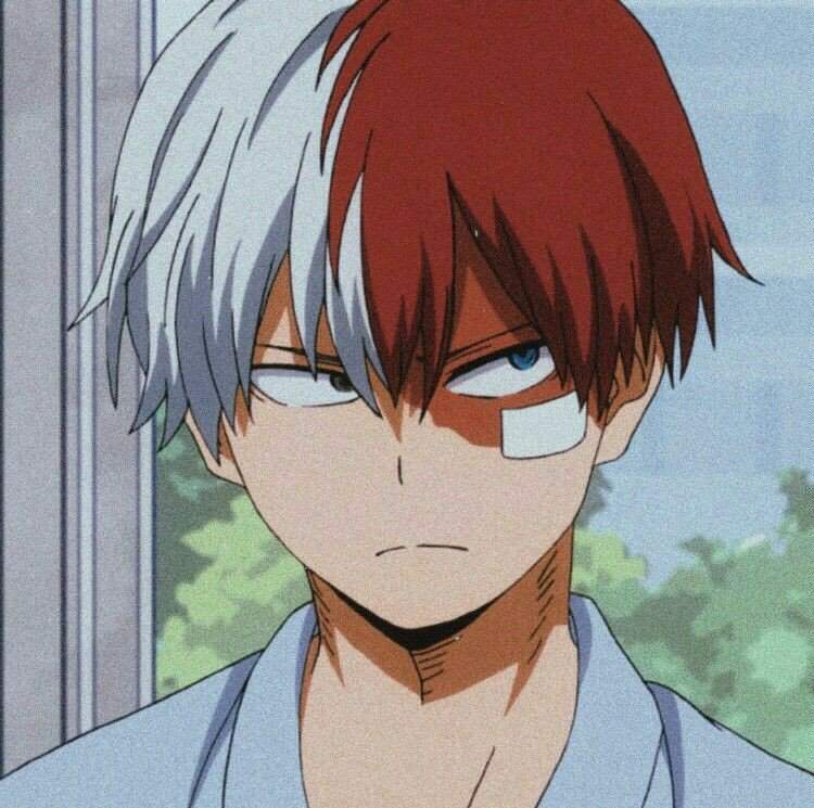 Tᥲg dᥱ prᥱ᥉ᥱᥒtᥲᥴιóᥒ • Boku No Hero Academia Amino. Amino