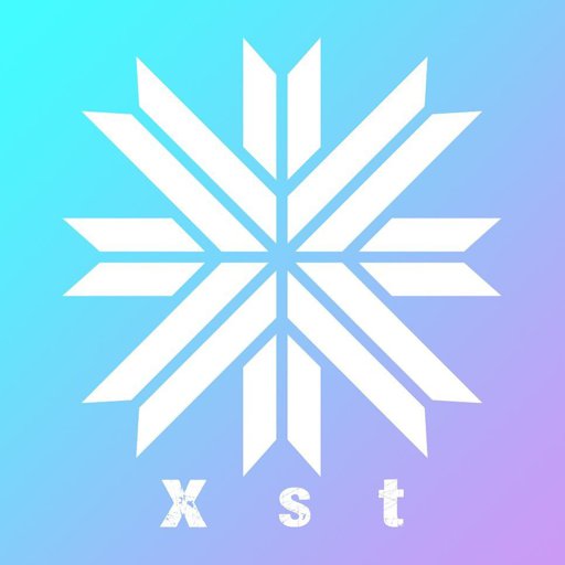 Xst Official Instagram On Instagram 皆さんにお知らせ致します 今日 メンバーがインスタライブで発表した通りに 新しいグループ名が決定致しました 新しい名前 Xst エクストです 未知数の可能性を持ったメンバーたちが集まり 再飛躍をすることを夢見