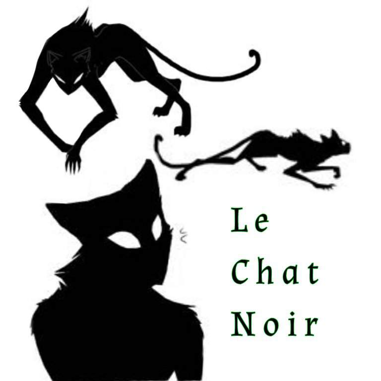 Le Chat Blanc Miraculous Amino