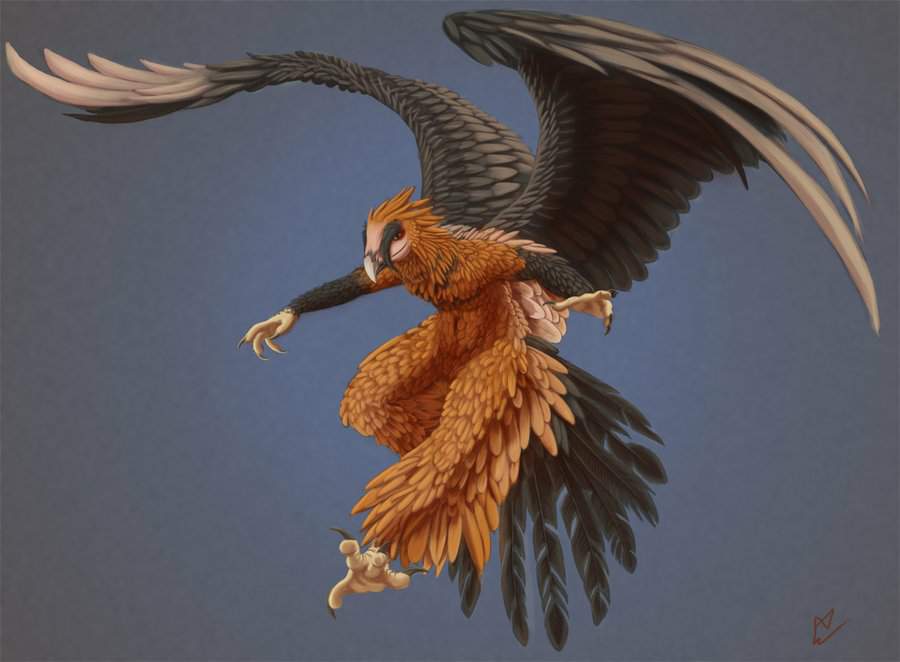 Bearded vulture | Wiki | Dungeons & Dragons (D&D) Amino