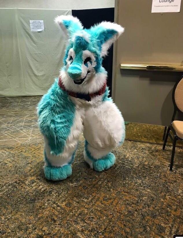 Cursed furry images.