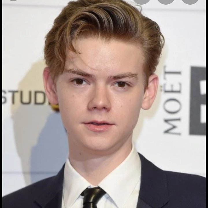 Thomas Brodie-Sangster/Newt | Wiki | The Glade Amino