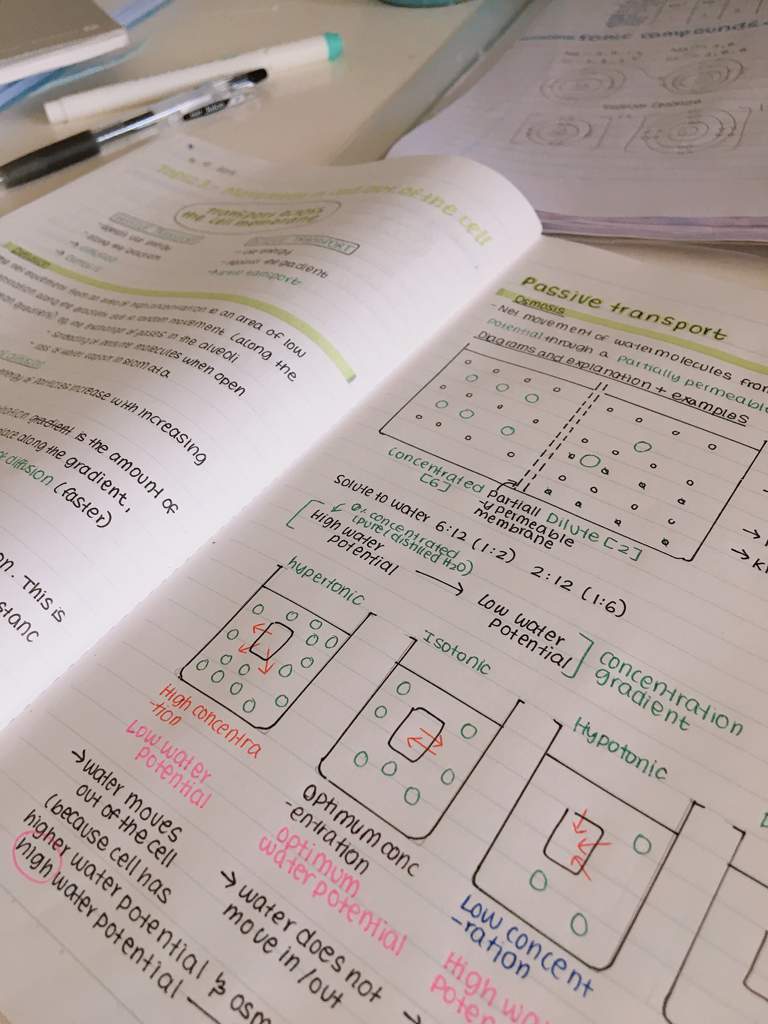 Bio topic 3 notes 💫 | Studying Amino Amino