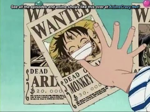 Luffy's Kopfgeld Entwicklung | Wiki | One Piece💀 Amino