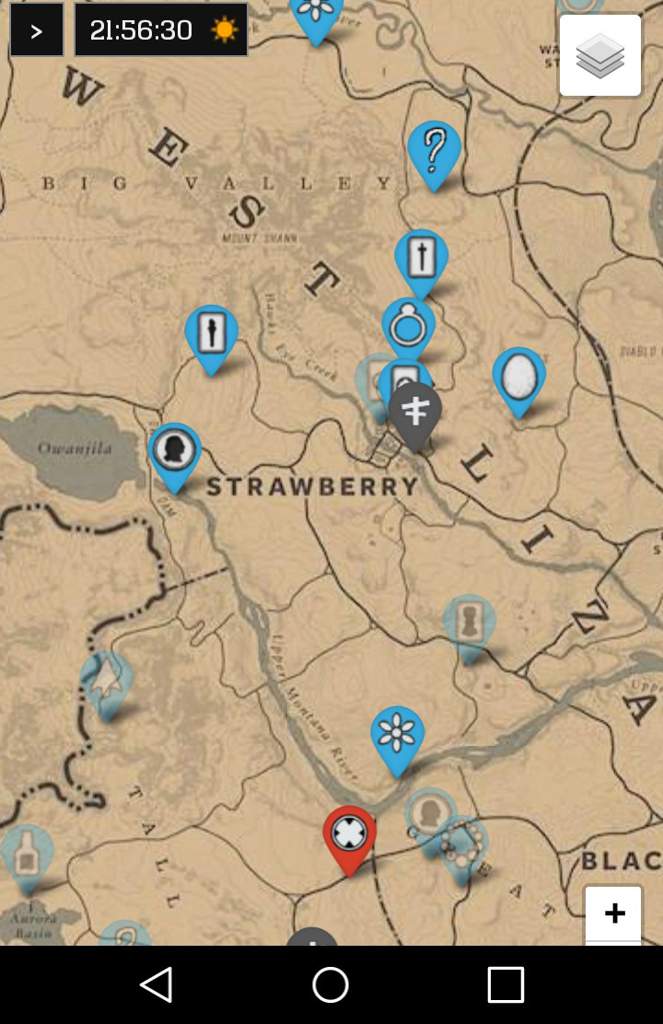 rdr 2 collector map