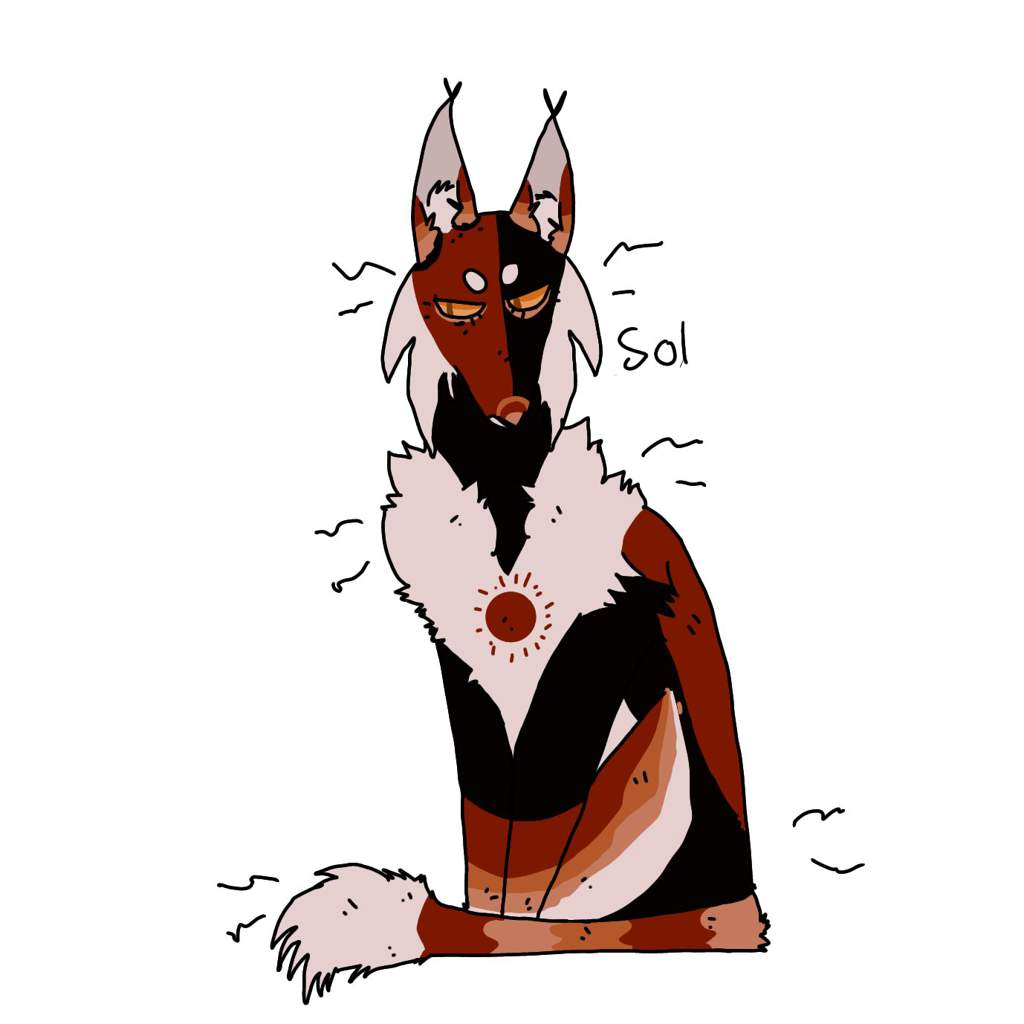 Sol | Warriors Amino Amino