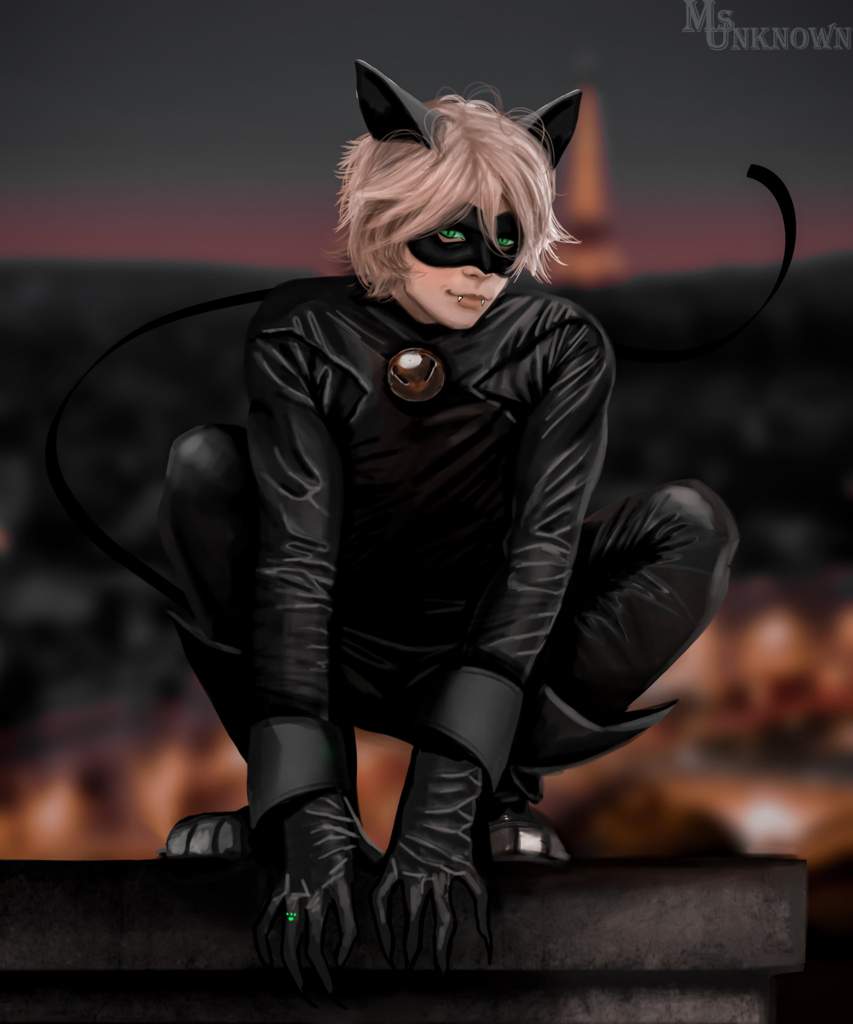 Petit Minou Chat Noir Miraculous Ladybug Fanart Art Amino