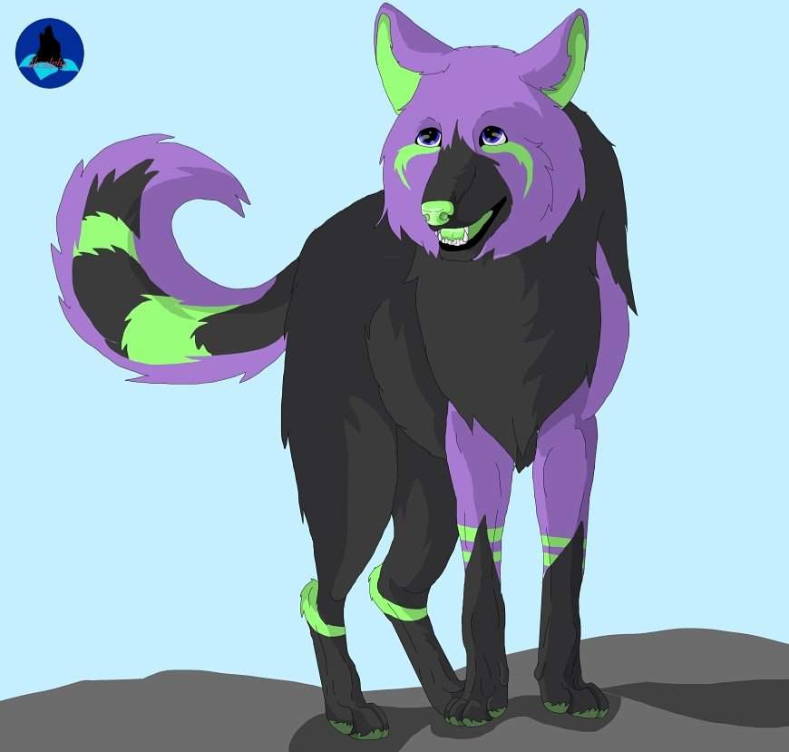 Commission Wiki Wolf Amino Amino