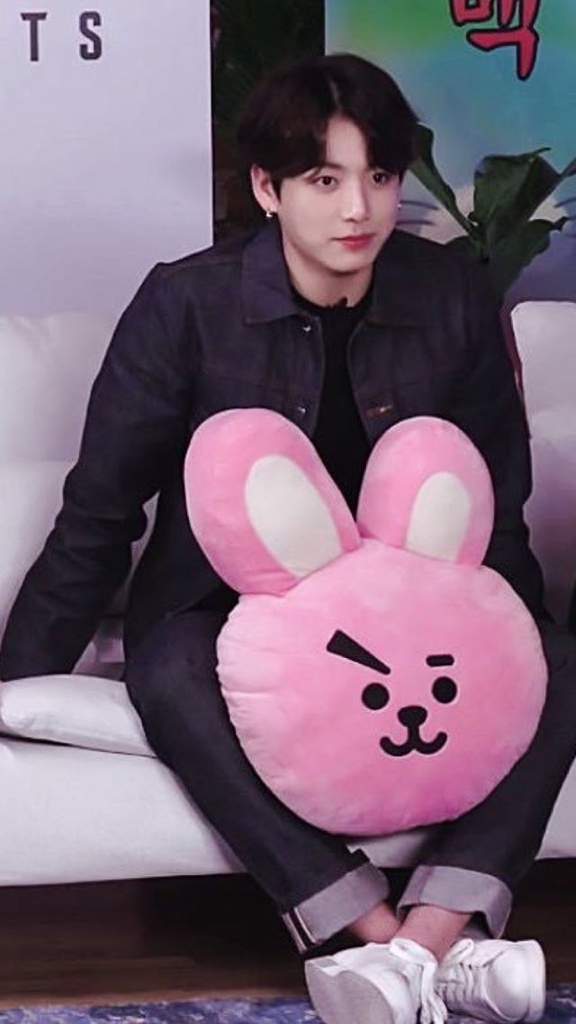 jungkook cooky pillow