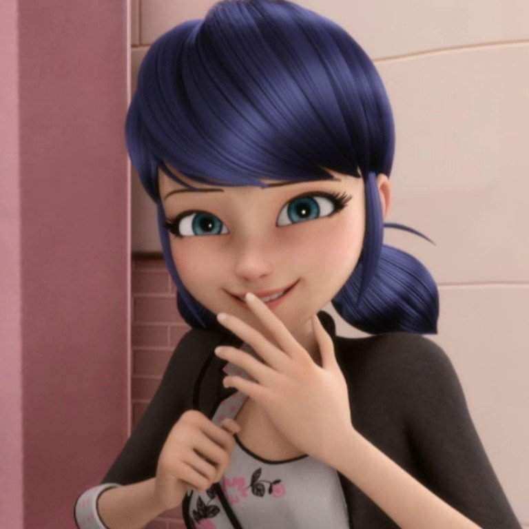 Marinette Dupain-Cheng | Miraculous Amino