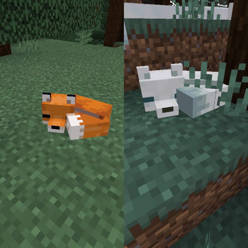 What’s New In 1.13: Foxes | Minecraft Amino