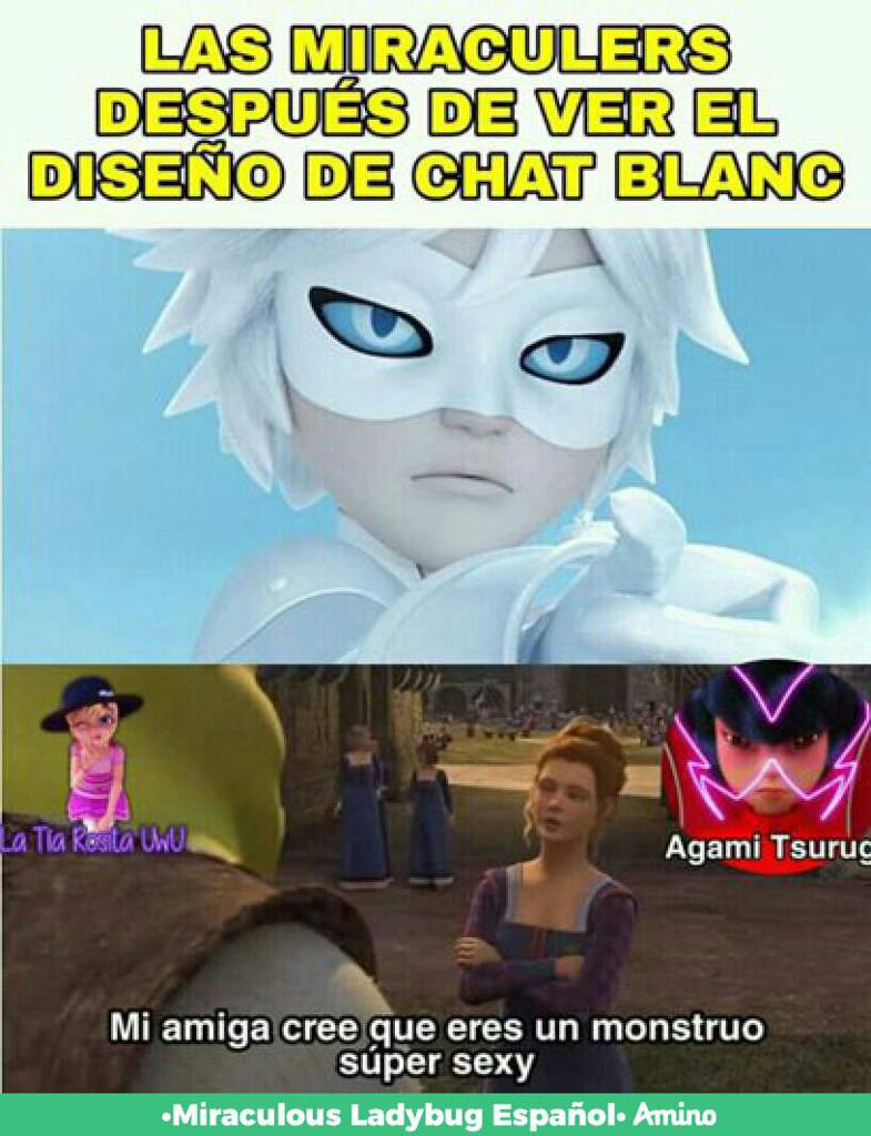 Memes 7 Chat Blanc Love Eater Miracle Queen Miraculous Ladybug Espanol Amino