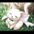 amino-Eri Todoroki (Tiny Kitten)-bd9fa444