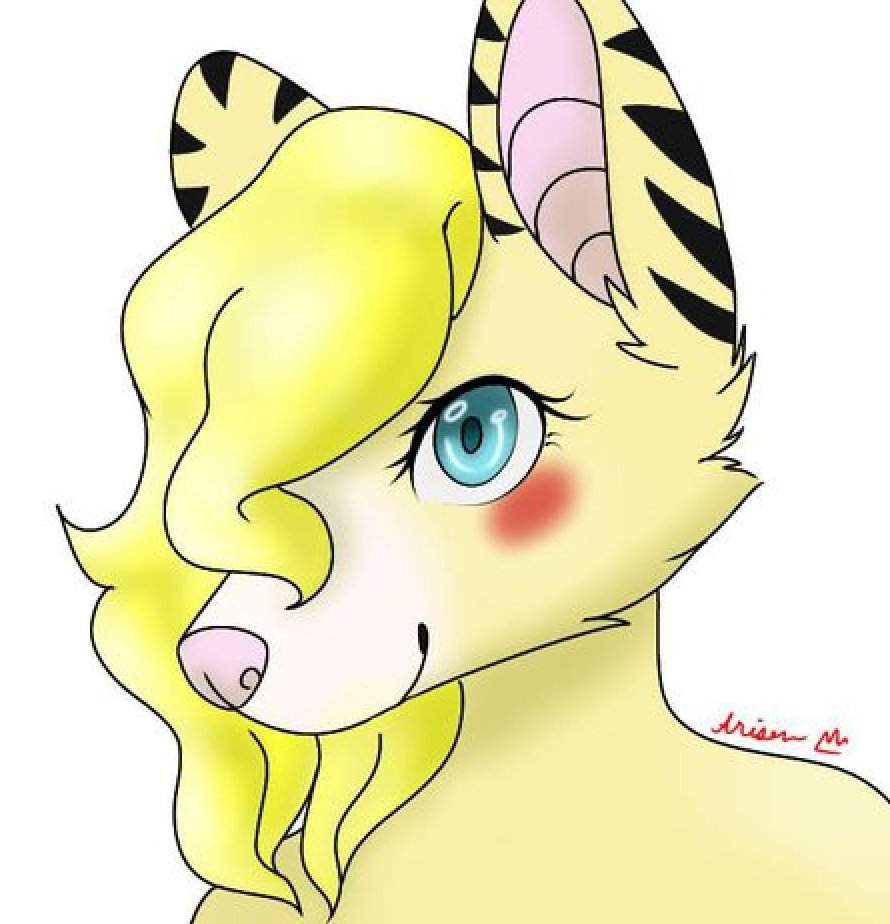 🐝HoneyBearBee🐝 | Furry Amino