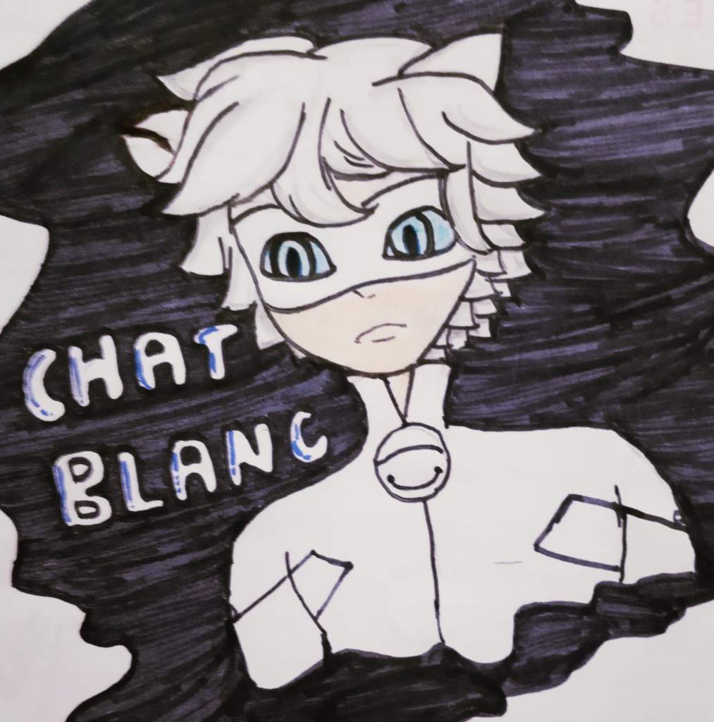 Chat Blanc Fanart Miraculous Amino