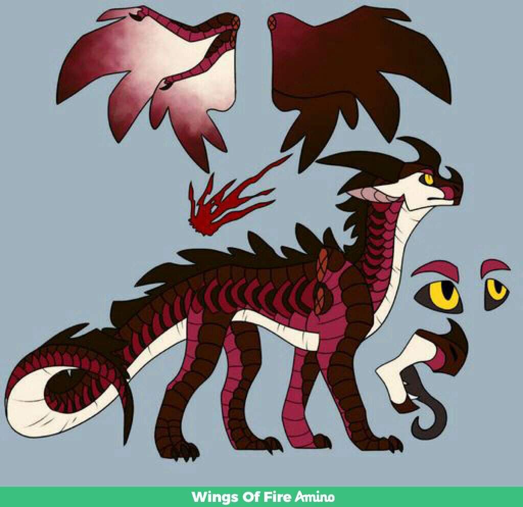 unnamed | Wiki | Wings Of Fire Amino