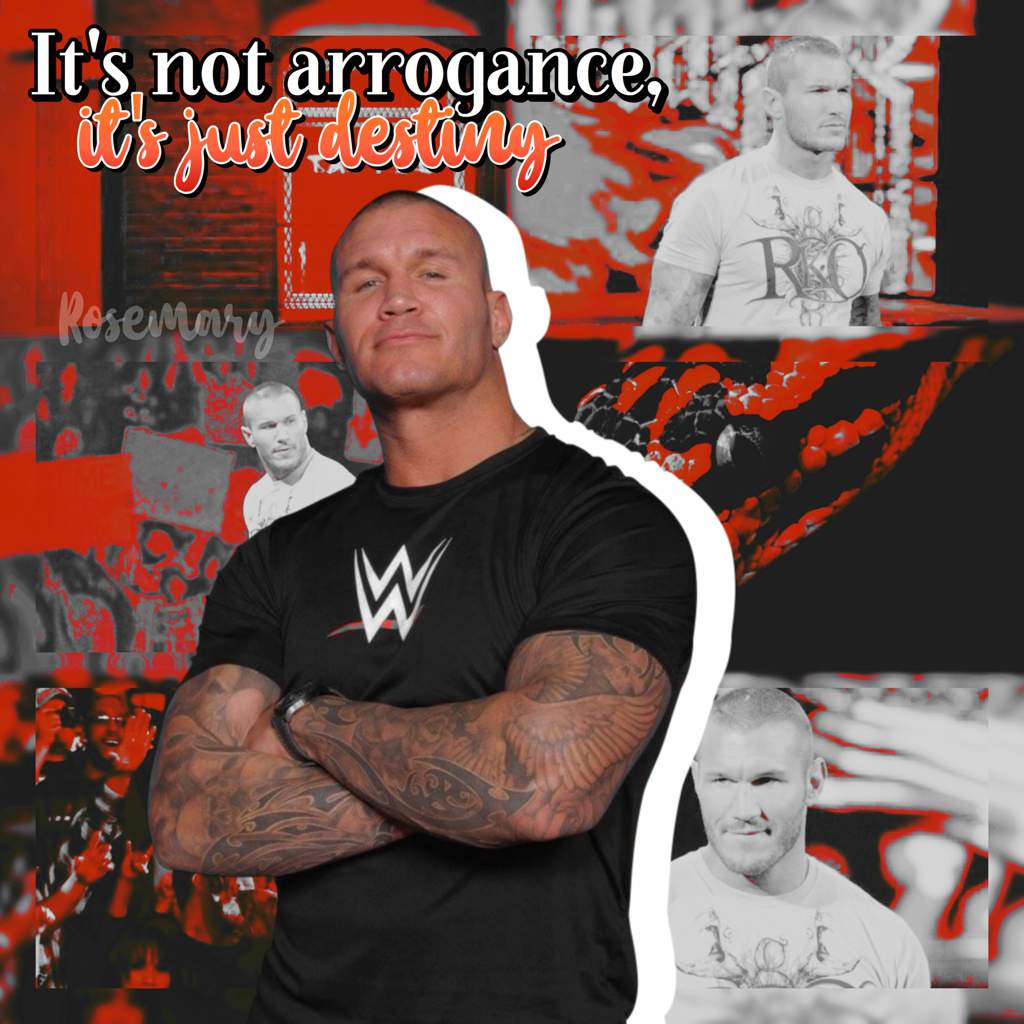 randy orton burn in my light