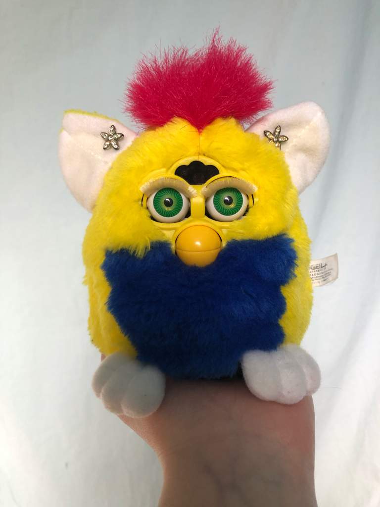 Two New Furbies! | Furby Amino