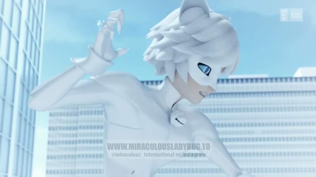 Chat Blanc Analysis Miraculous Amino