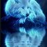 amino-Fenrir-playz-20c63729