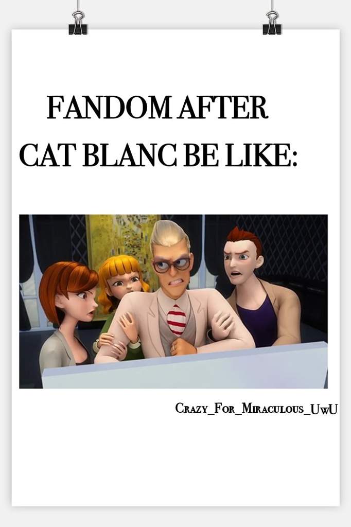 Cat Blanc Meme Miraculous Amino