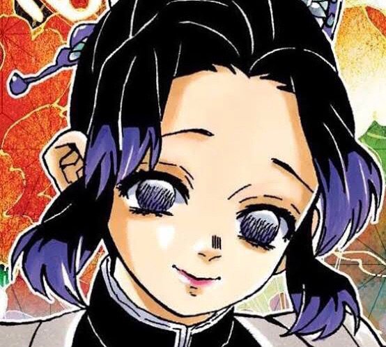 𝐦𝐲 𝐡𝐚𝐬𝐡𝐢𝐫𝐚 𝐫𝐚𝐧𝐤𝐢𝐧𝐠 (𝐬𝐩𝐨𝐢𝐥𝐞𝐫𝐬) | Demon Slayer: Kimetsu No Yaiba Amino