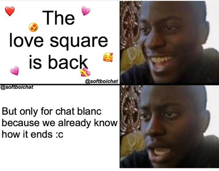 Memes For Chat Blanc Miraculous Amino