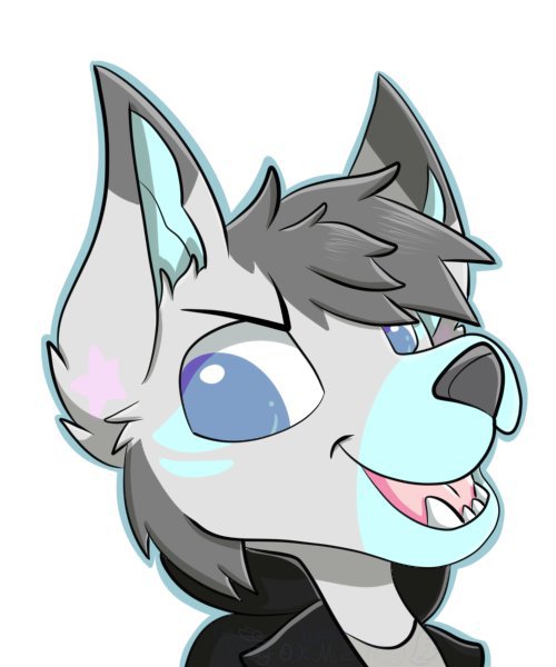 BlueBerry The Fox | Furry Amino