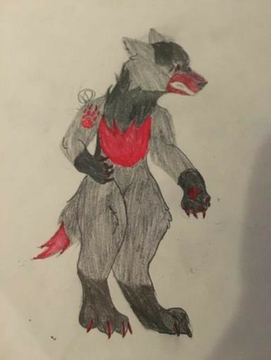 🖤 jo the wolf | Wiki | Furry Amino