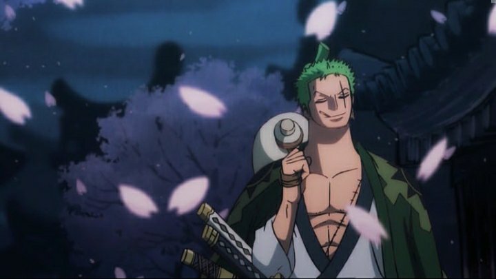 king of artist zoro wano