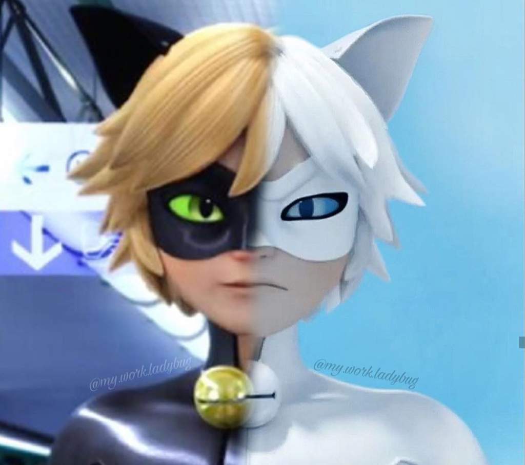 Understanding Chat Blanc Miraculous Amino