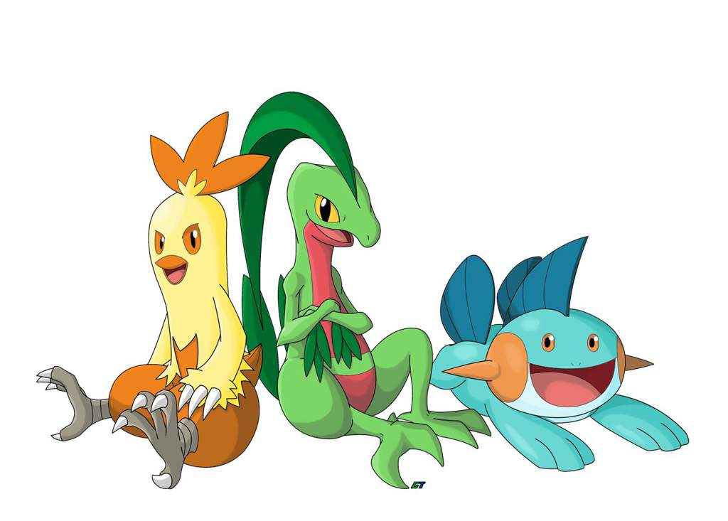 Pokemon Gen 3 Hoenn Starter First Evolve Pokemon Amino