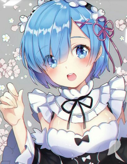 rem ver 1.5