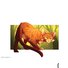 amino-warriorcats_firestar5-26d62538