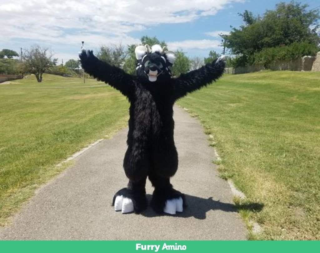 Selling Fullsuit for $1000 | Fursuit Maker Amino Amino