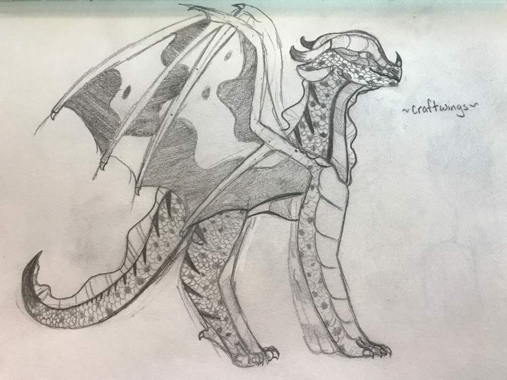 FanTribe Concept Art + Humanized DoD Sketches | Wings Of Fire Amino