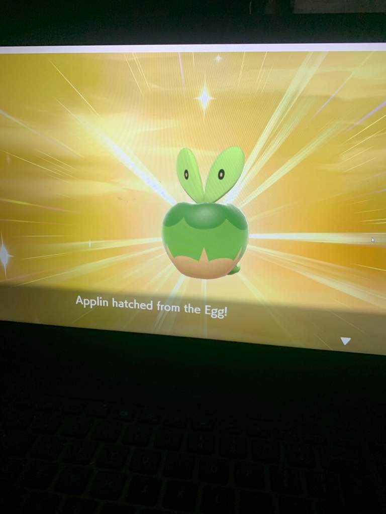 My 1st Shiny In Pokemon Shield Pokémon Sword And Shield