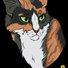 amino-Moonlight ThunderClan-dd3656fb