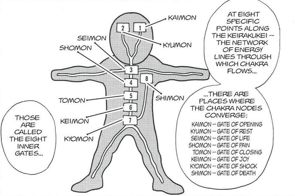 What Are The 8 Chakra Gates at Oscar Corey blog