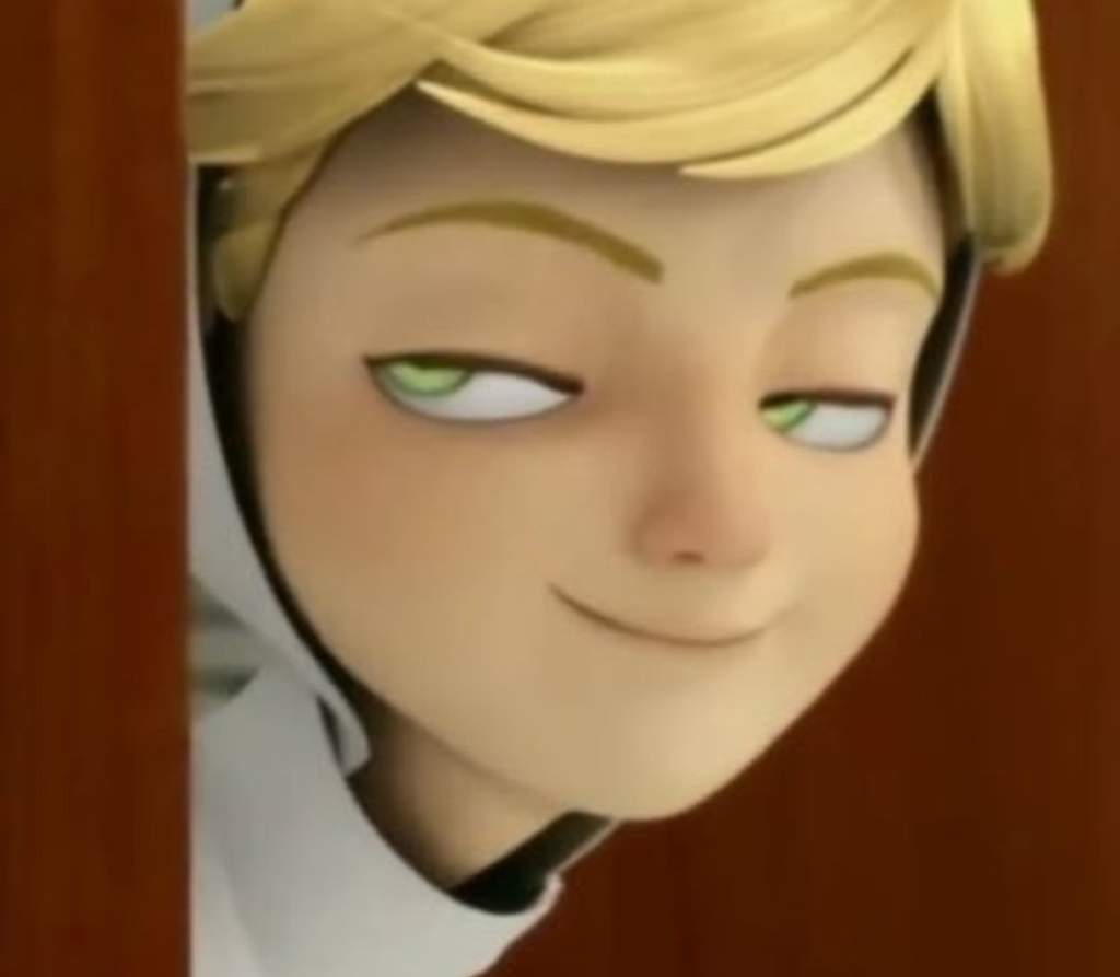 Adrien Agreste Pfp Funny