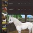 amino-love horses 101-8b628494