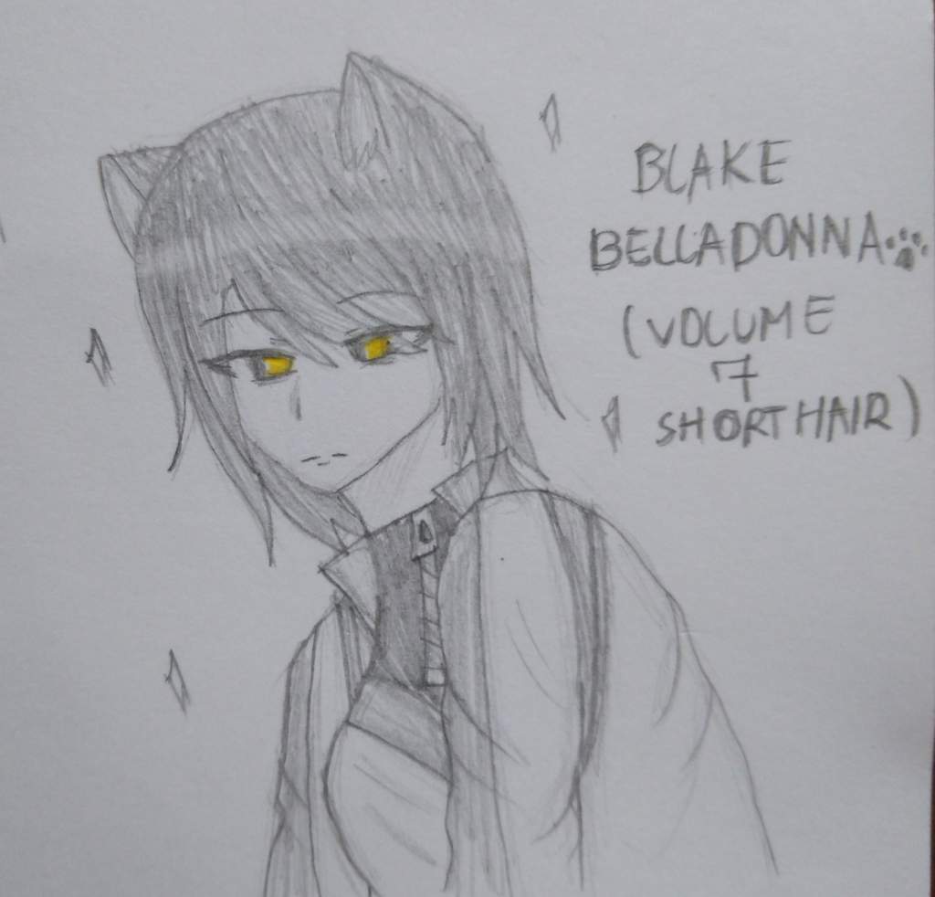 Blake Belladonna Volume 7 Short Hair Rwby Amino