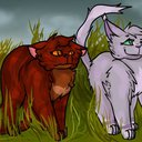 Pounce | Wiki | Warrior Cats Creative Amino