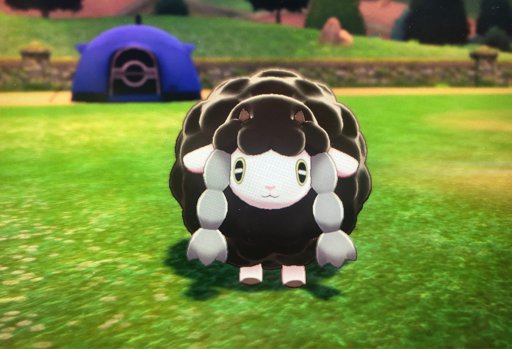shiny wooloo plush